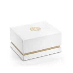 Aion Chronograph Gold Edelstahl Uhr