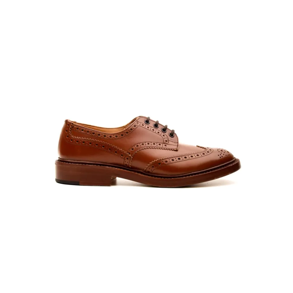 Antike Lederschuhe
