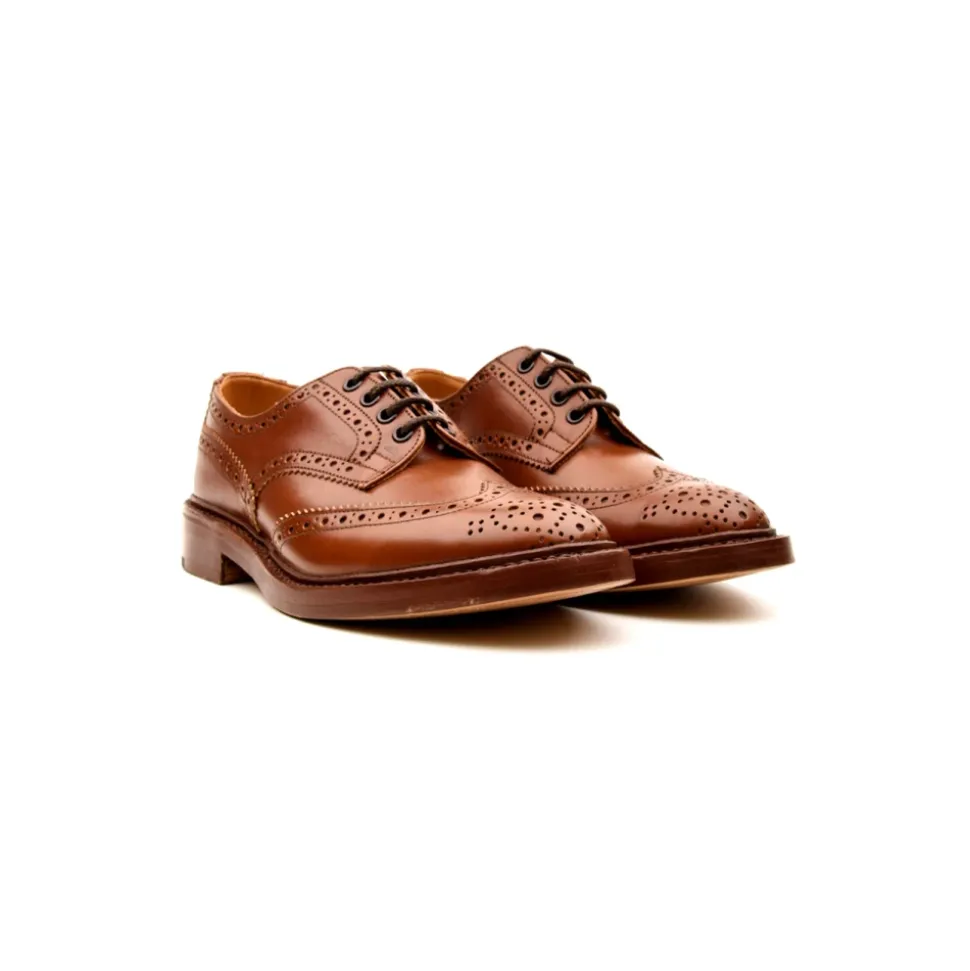 Antike Lederschuhe