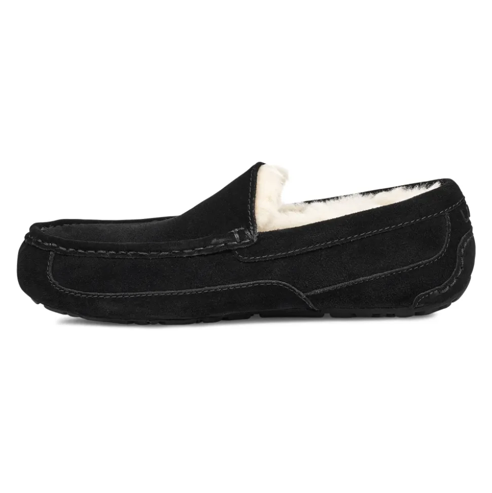 Ascot Hausschuhe Black