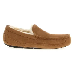 Ascot Slipper