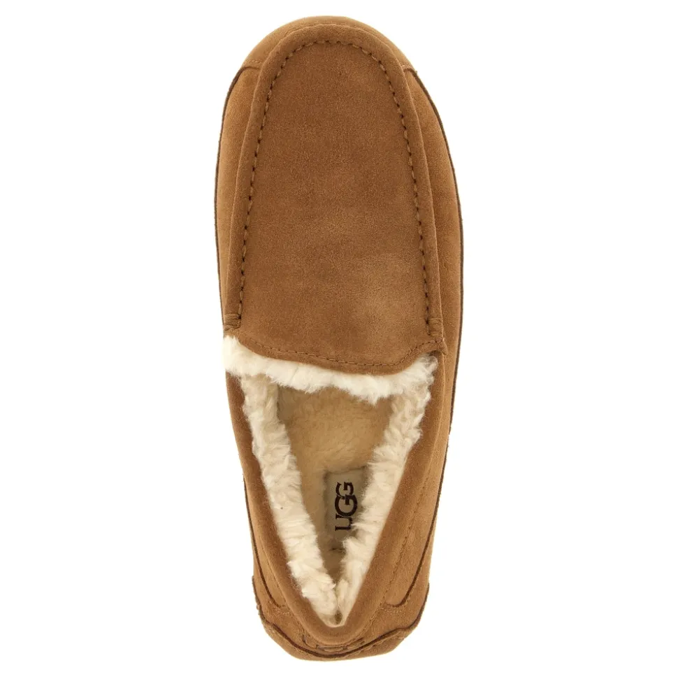 Ascot Slipper