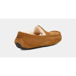 Ascot Slipper