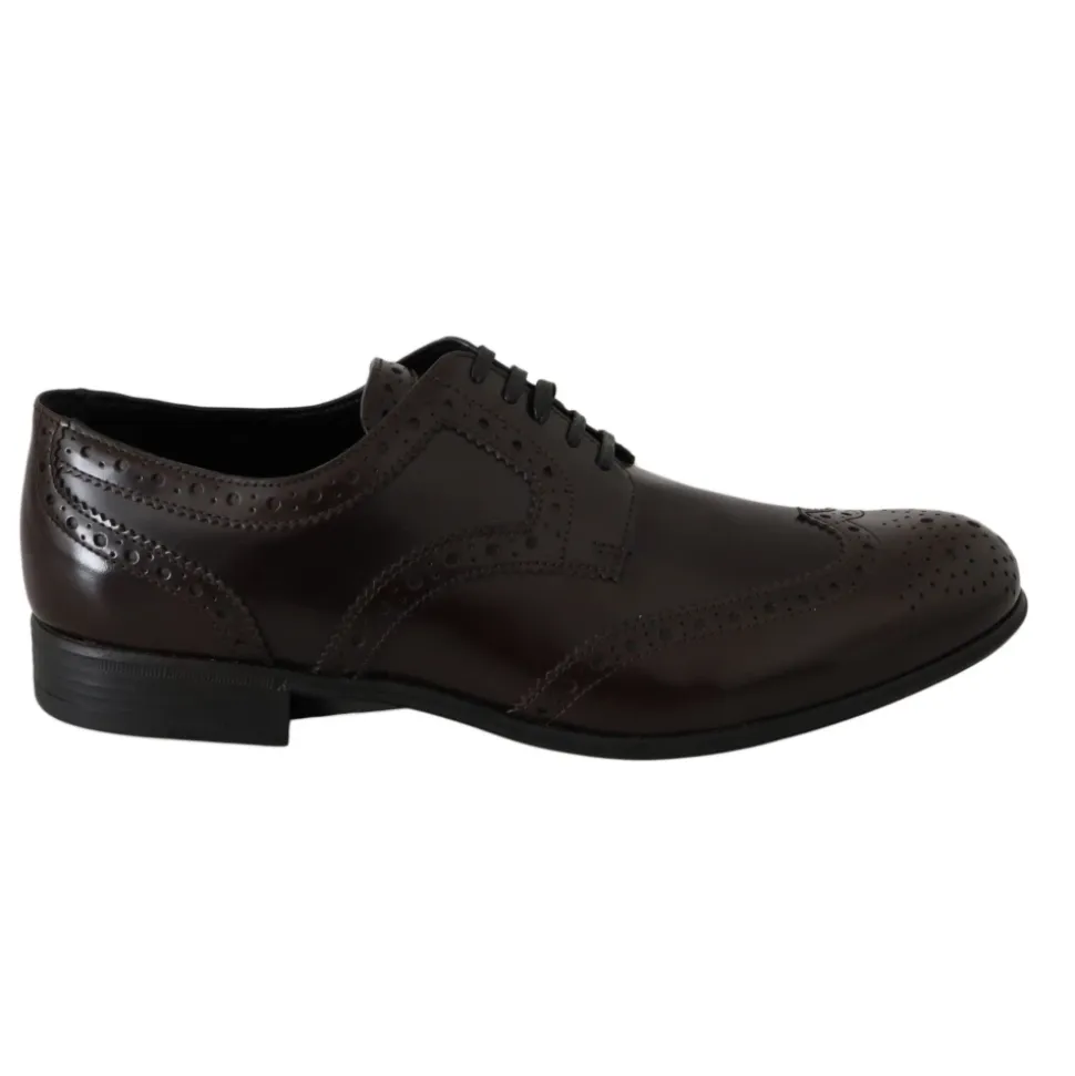 Broques Oxford Wingip