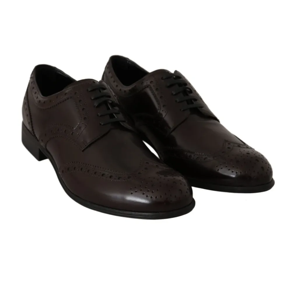 Broques Oxford Wingip