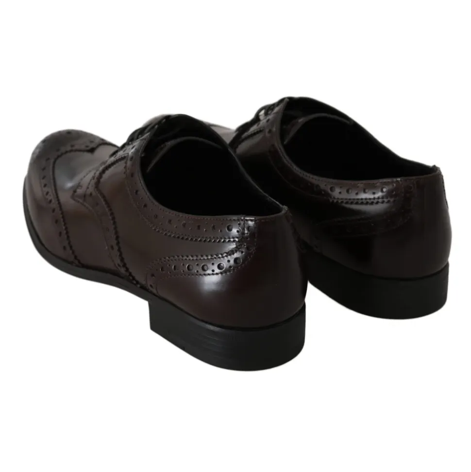 Broques Oxford Wingip