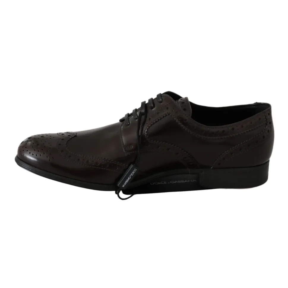 Broques Oxford Wingip