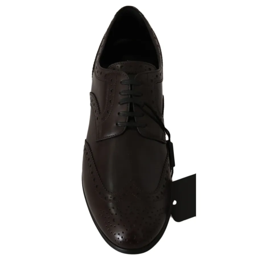 Broques Oxford Wingip