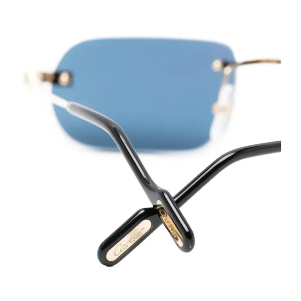 CT0577S 003 Sonnenbrille