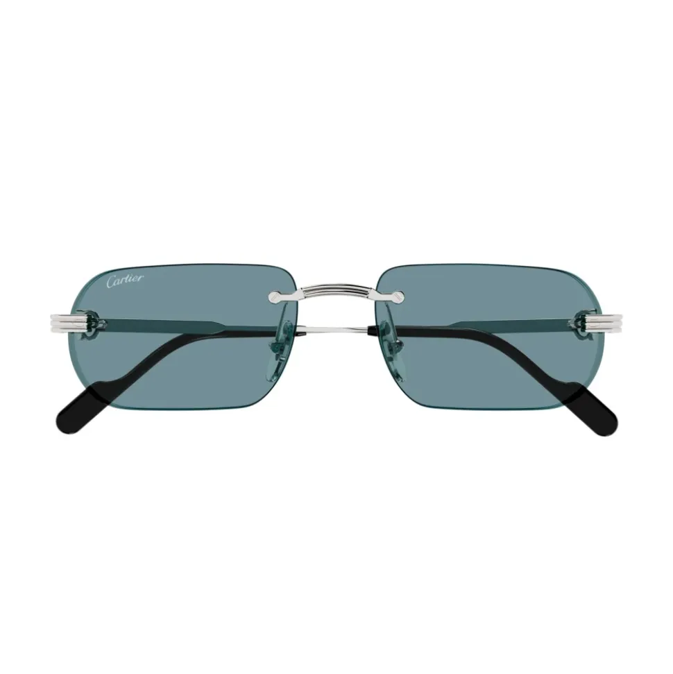 CT0577S 006 Sonnenbrille