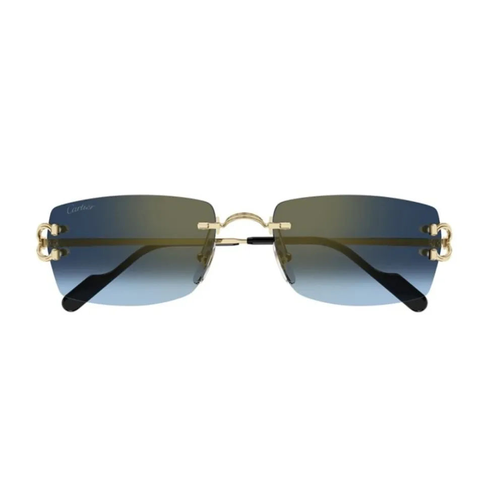 CT0550S 002 Sonnenbrille