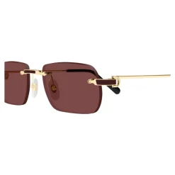 CT0498S 002 Sunglasses