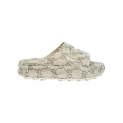 GG Canvas Platform Slides