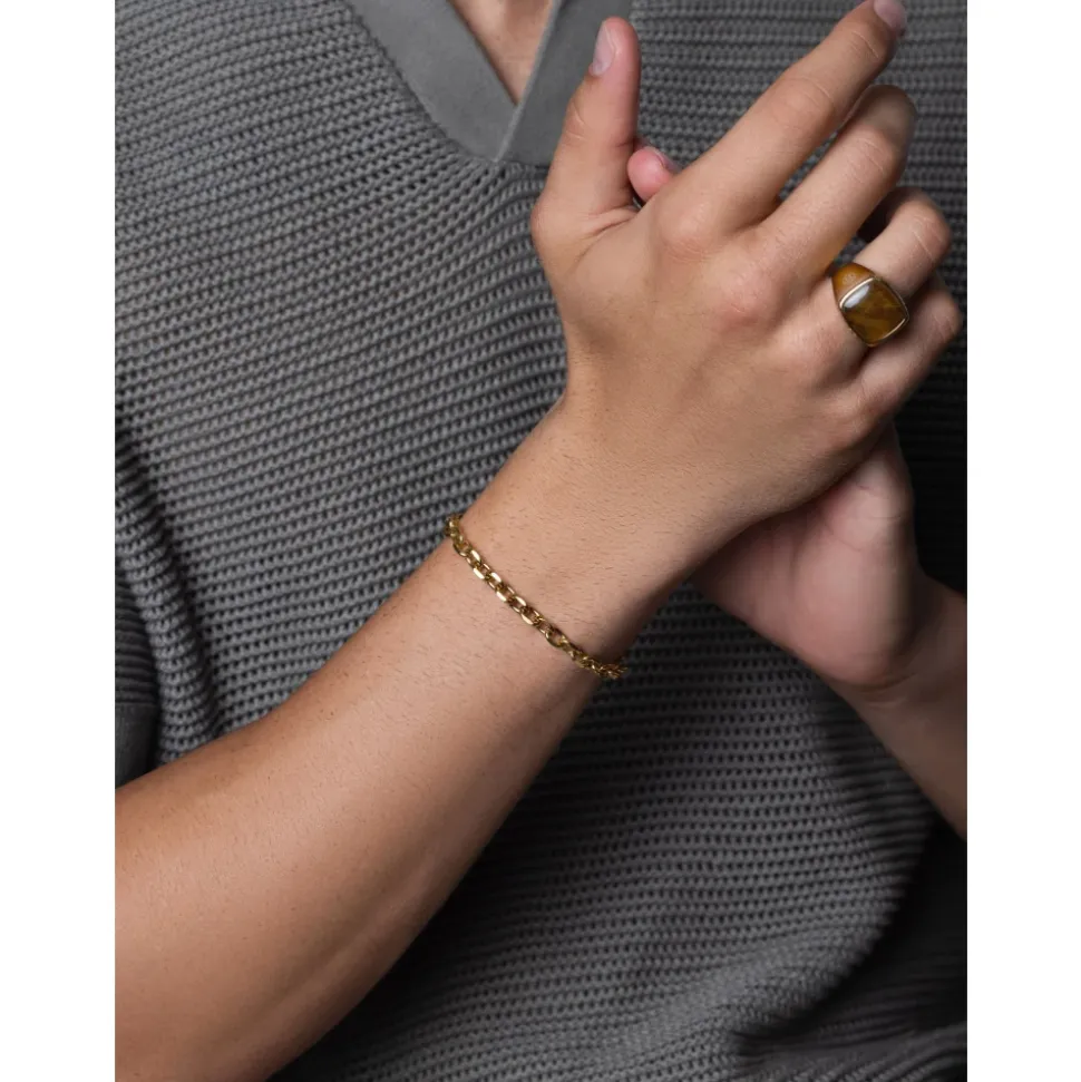 Gold 6mm Cable Chain Armband