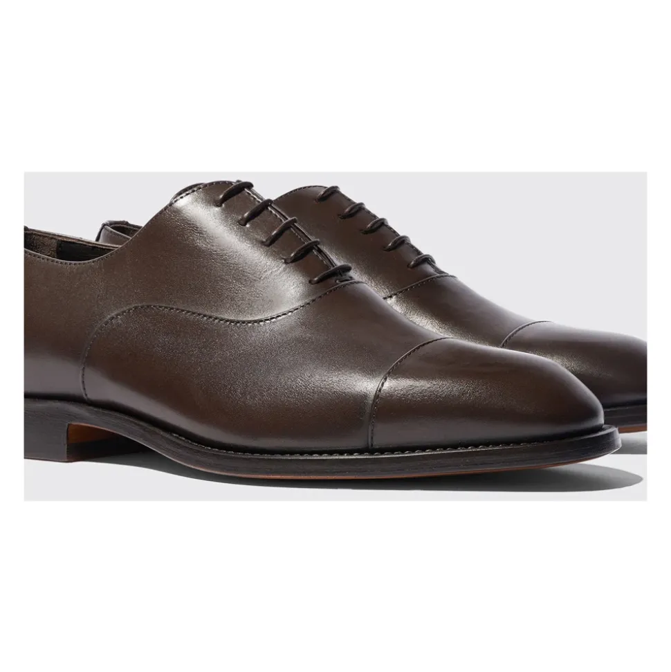 Klassischer Oxford Schuh mit eckiger Kappe