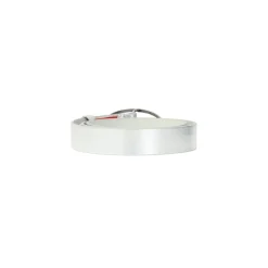 Oval D Schnalle Silber Gürtel