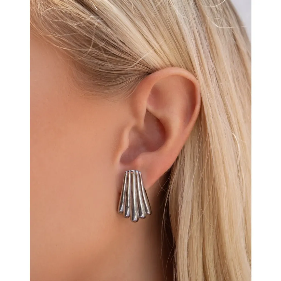 Silberne Calico Shell Ohrringe