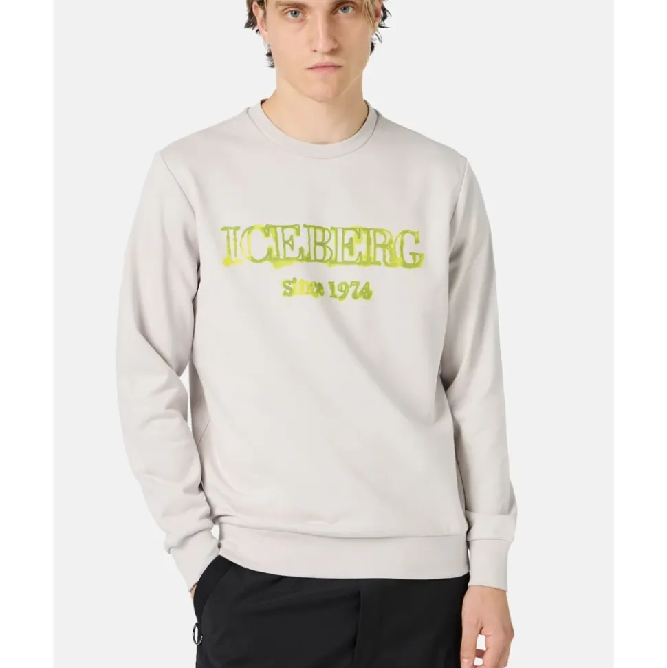 Sweatshirt mit Kapuze und Logo