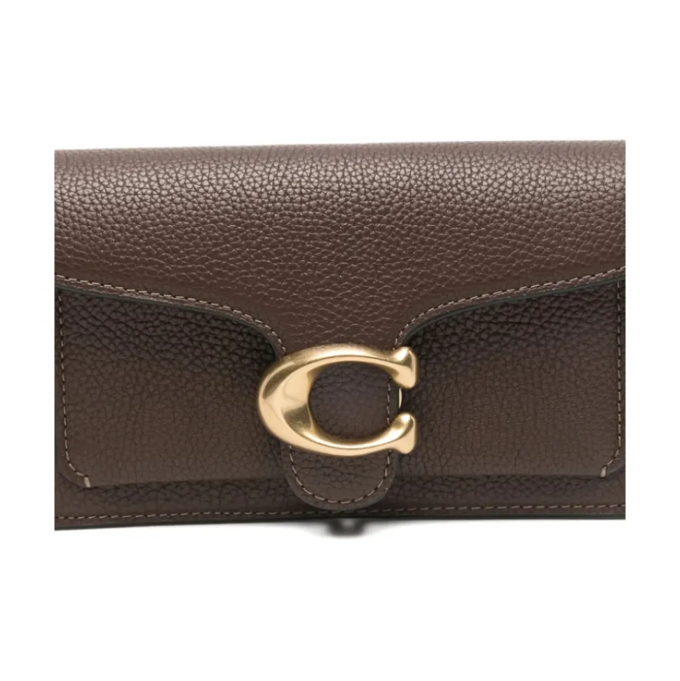 Tabby Chain Crossbody Bag 19