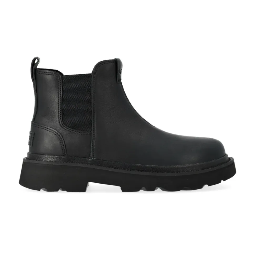Tasman Reflective