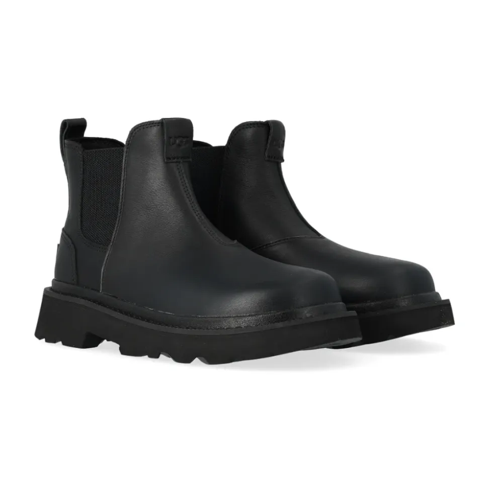 Tasman Reflective