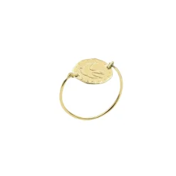 Vergoldeter Taubenring